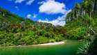 The Pororari River, Paparoa National Park, Punakaiki, New Zealand Art Print